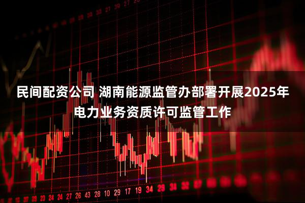民间配资公司 湖南能源监管办部署开展2025年电力业务资质许可监管工作
